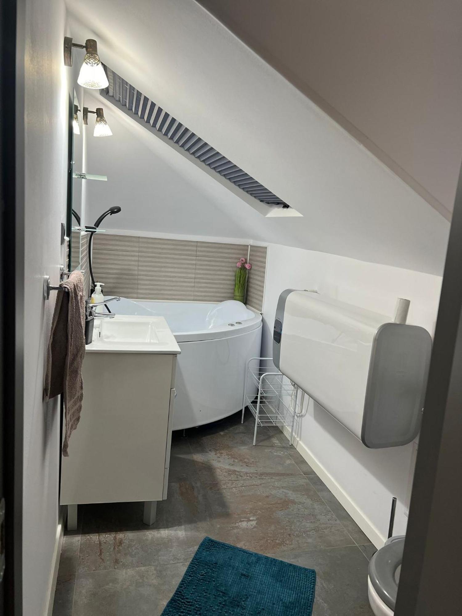 Apartament Mansarda Venus Ramnicu Valcea Luaran gambar